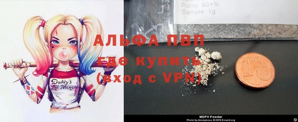 ГАЛЛЮЦИНОГЕННЫЕ ГРИБЫ Карталы