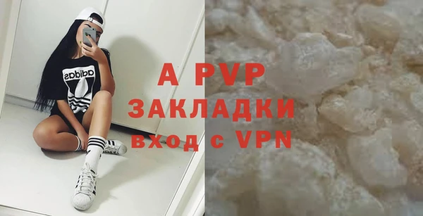 ГАЛЛЮЦИНОГЕННЫЕ ГРИБЫ Карталы