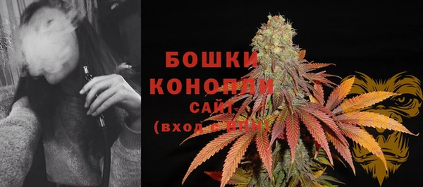 ГАЛЛЮЦИНОГЕННЫЕ ГРИБЫ Карталы