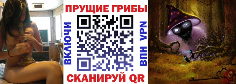 Купить где  Люберцы  Псилоцибиновые грибы ЛСД 