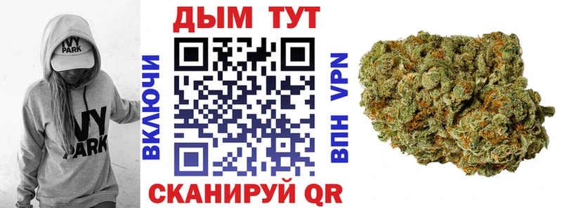 Шишки марихуана марихуана  Купить  Люберцы 